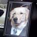 Analog Photo Frame
