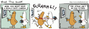 What The Duck - 772